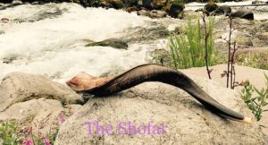 Read more about the article The Shofar, What Is It?