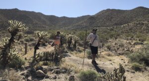 Read more about the article Palm Desert:                                       San Jacinto/Santa Rosa Trail