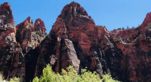 Read more about the article Zion, Utah July 2019